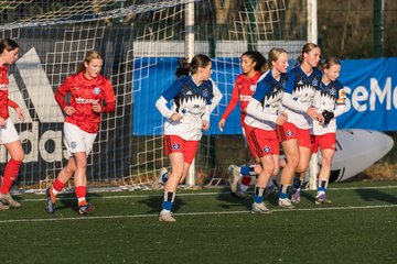 Bild 152 - wBJ Hamburger SV - Holstein Kiel : Ergebnis: 8:0